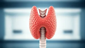 10 Habits Quietly Ruining Your Thyroid Health