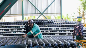 Indústria avança 0,7% em abril, quarta taxa positiva consecutiva