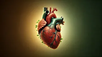 Your Body Wants Better Than Generic Diet Advice