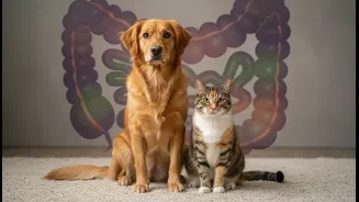 When Behaviour Changes, Digestion Belongs on the Veterinary Checklist