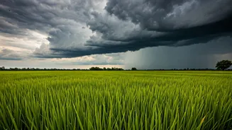 Why Every Monsoon Matters For Indian Agriculture