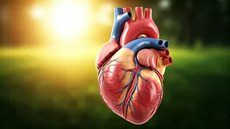 Bryan Johnson's Post-Meal Walk: A Health Booster?