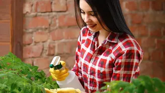 How Young Urban Residents Cultivate Fresh Herbs On Small Balconies