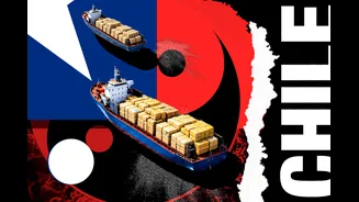 PCC amplia rotas para tráfico de drogas a partir do Chile, revela operação.Vejavídeo