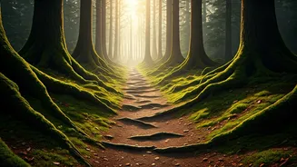 Forest Walks Are The New Luxury Travel Amenity