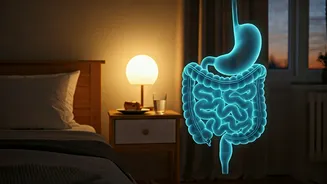 Digestive Harmony: Why Your Dinner Routine's Rhythm Trumps a Strict Clock