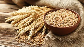Wheat prices hit 3-year high as Russia-Ukraine war escalates
