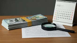 Income Tax Refund Woes? How to Navigate Delays and Get Your Money