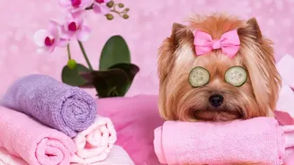 A Grooming Schedule Should Fit the Pet's Comfort and Health