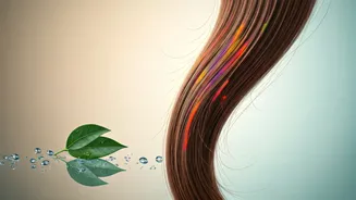 Related Stories banner