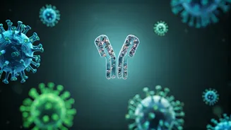 Camel's Mighty Nanobodies: A Breakthrough Antidote for Dengue?