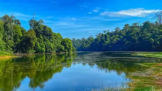 Visit Sohra's waterfalls and root bridges
