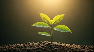 Related Stories banner