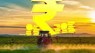 India tech: Funding flows to mature firms