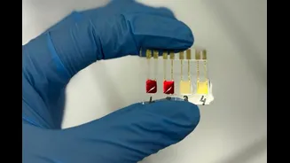 Biossensor brasileiro detecta câncer de pâncreas em fase inicial