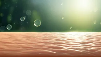 Monsoon Skincare Begins With Barrier Repair