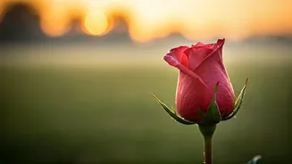 5 AM Soul Reset: 7 Affirmations for a Calmer, Clearer Day