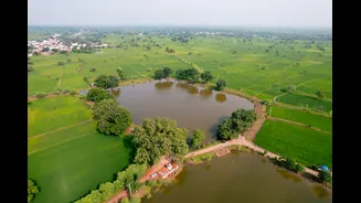 Wetland Reclamation in India Linked to High Flood Risks and Limited Agricultural Gains