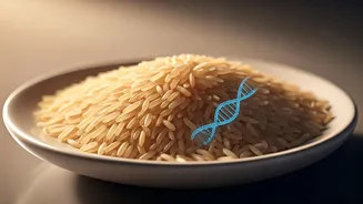 India's 'Designer Rice': A Protein-Packed, Low-GI Revolution for Diabetes Management
