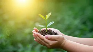 The Green Generation Starts Learning Early
