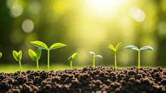Green Learning Is Turning Into A Movement