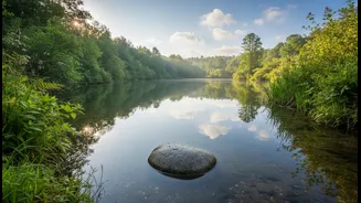 Calm Human Behaviour Helps, But The Environment Matters Too