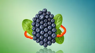 Eat These 5 Foods for Healthy Kidneys