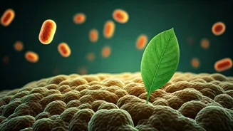 Prioritise gut health over fad diets