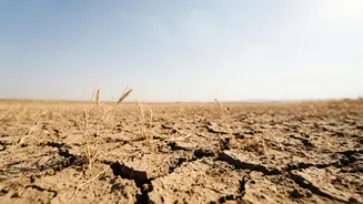 Rainfall, Harvests And Markets: Understanding The Economic Impact Of A Drier September