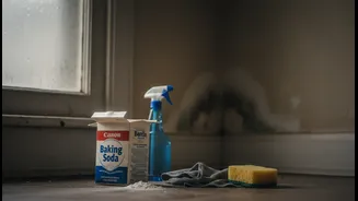 Baking Soda Isn't A Fix For Everything: Monsoon Cleaning Myths Explained