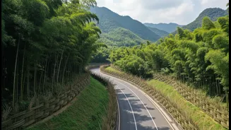 Why Indigenous Bamboo Infrastructure Strategies Protect Vulnerable Mizoram Highways From Landslides