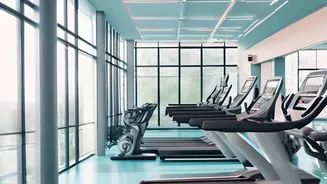 Why Zone-2 Cardio Restores Energy And Enhances VO2 Max In Desk Workers
