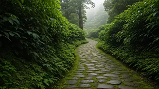Shillong Is Perfect For Slow Monsoon Travel