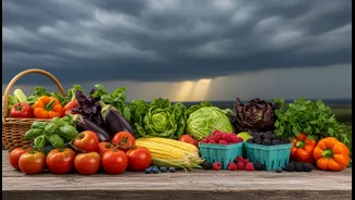 Climate Headlines Now Matter To Anyone Planning Monthly Grocery Spending