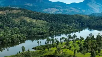 Rain Brings Assam's Rivers, Forests And Tea Estates To Life