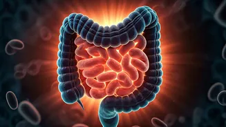 The Gut Revolution Is Officially Here