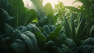 Your Summer Harvest: 5 Easy Green Veggies for a Thriving Home Garden