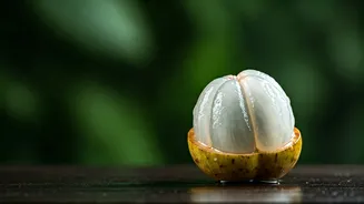 Related Stories banner