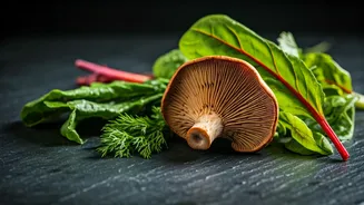 Monsoon Food Is Going Wild, Literally