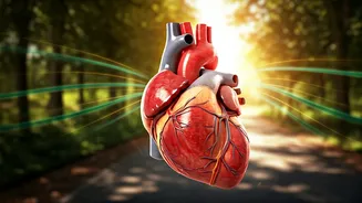 Unlock Longevity: The Cardiologist's 15-Minute Daily Walk Secret to a Healthier Life