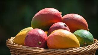 Why Delhi's Mango Festival Is Breaking Social Media Feeds