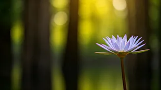 Vivekananda's Ethics: From Self to Society