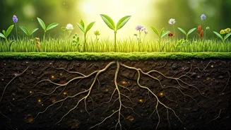 Regenerative Agriculture: Cultivating a Healthier Planet, One Farm at a Time