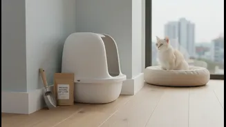 Small-Flat Cat Hygiene Needs A Real Plan