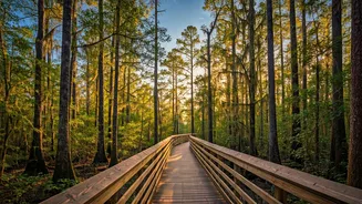 Related Stories banner