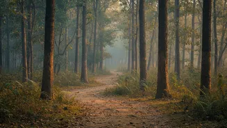 Urban Wildlife Tourism Gets A Boost With Lucknow’s Night Safari Project