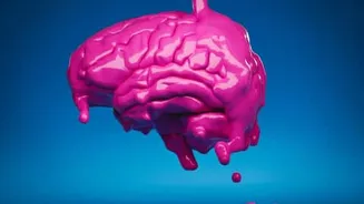 You can now rent a brain in the cloud