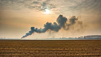 Delhi Smog Crisis: Farm Fires and Unchecked Pollution