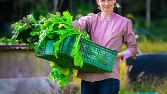 Forest Ingredients Connect Chefs With Regional Food Knowledge With Add Local Flavour Without Turning Foraging Into Hype