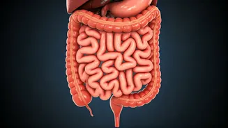 Unlocking Regularity: What to Do When You Can't Go